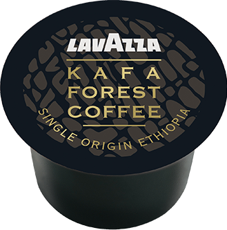 Kafa Forest قهوة